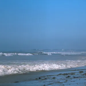 oil, Arroyo Burro Beach, Santa Barbara, ocean waves