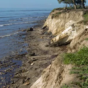 oil, Shoreline Park beach, Santa Barbara