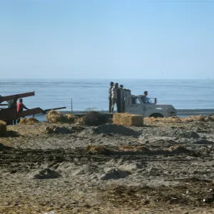 oil cleanup, main beach, Santa Barbara