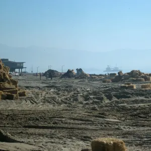 oil cleanup, main beach, Santa Barbara