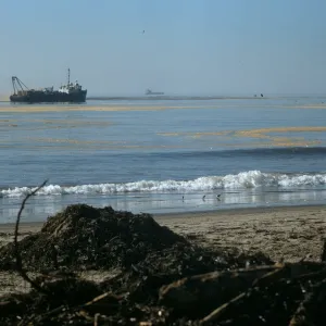 oil cleanup, East Beach, Santa Barbara