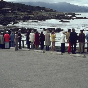SBBG field trip, viewing sea otters at Point Lobos