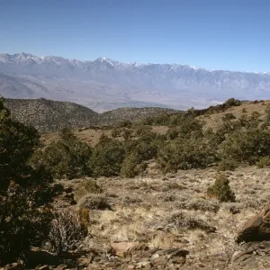 White Mountains vista, distant Mt Tom