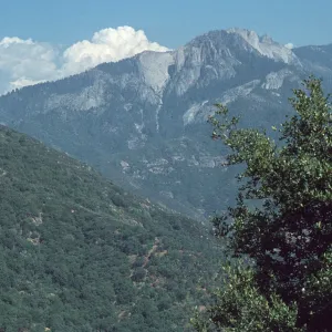 mountains, Sequoia National Park