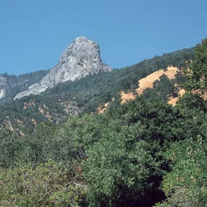 Moro Rock from below, Sequoia National Park