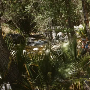 Andreas Canyon, children