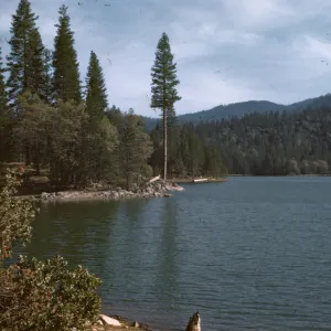 Bass Lake