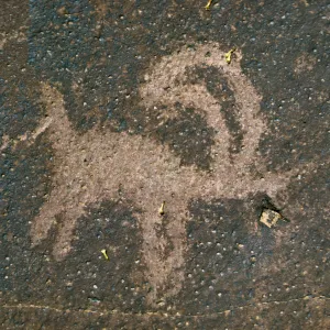 Coso, petroglyphs