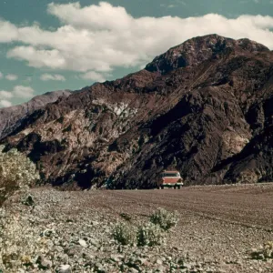 DV8-5 'Desert Holly Along Black Mtns, Death Valley, California'