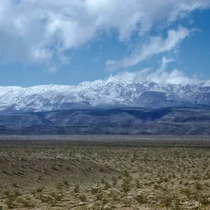 looking north to the snow-covered Panamint Mountains, Death Valley