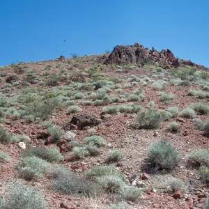 Death Valley, slope at Jubilee Pass