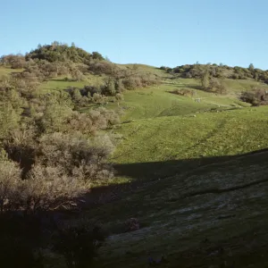 green hills, Happy Canyon Road, Figueroa Mountain