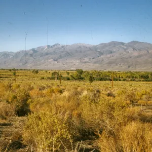 Inyo Mountains from near Bishop