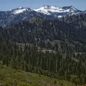 vegetation change in Siskiyous, taken from Siskiyou summit