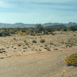 Chocolate Mountains, Vincent Ranch