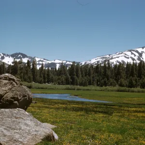 alpine meadow, snow covered mounatins, Charity Valley, south of Lake Tahoe