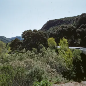 San Julian Creek, Highway 1
