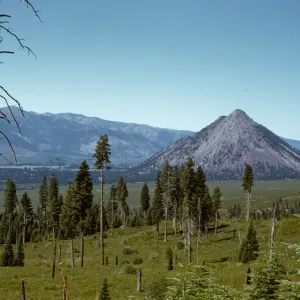 Black Butte, near Mt Shasta City