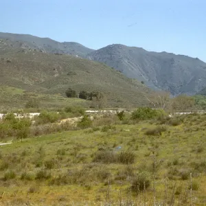 Glen Ivy, Corona, upper Sonoran desert