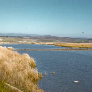 wildlife refuge, Oceanside