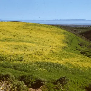 Old San Marcos Pass