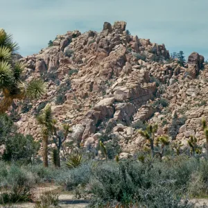 Joshua Tree N.M. ,Hidden Valley