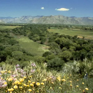 Nature Conservancy, Kern River Preserve