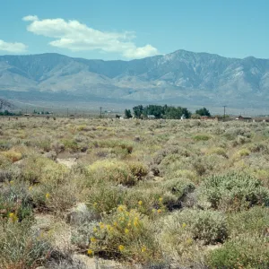 San Bernardino Mtns