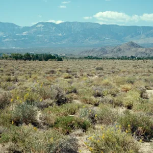 San Bernardino Mtns