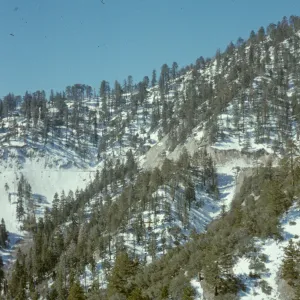 San Bernardino Mtns