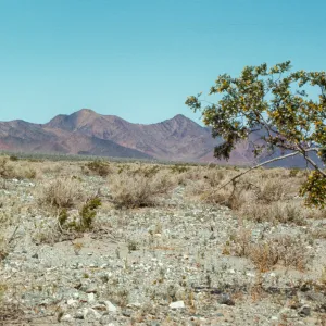 Baker, Death Valley Road