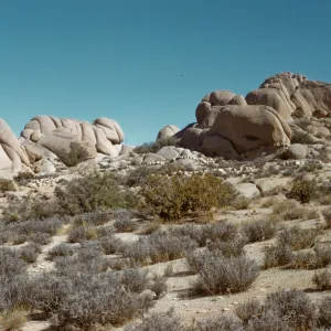 Joshua Tree National Monument, rocks