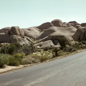 Joshua Tree National Monument, Rockpile