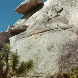 Joshua Tree National Monument (Cap Rock)