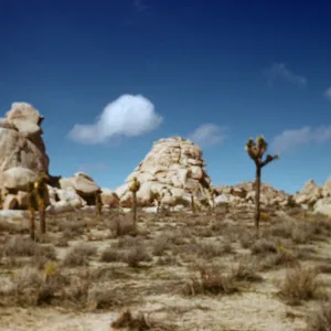Joshua Tree National Monument, Hidden Vallley Cmg