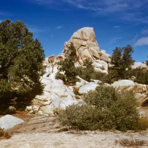 Joshua Tree National Monument, Hidden Valley Cmg