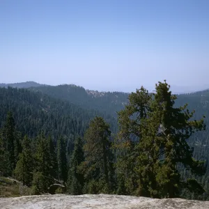 Sequoia National Park