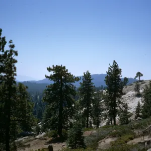 Sequoia National Park
