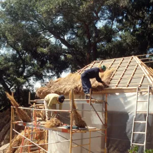 Tea House Construction 2001