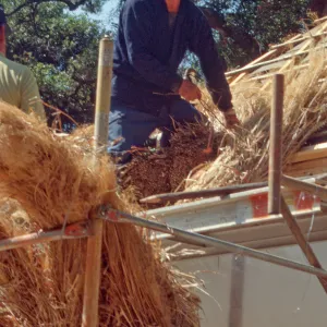Tea House Construction 2001