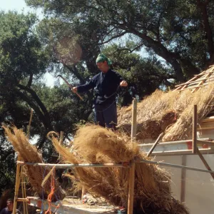 Tea House Construction 2001