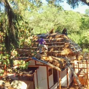 Tea House Construction 2001