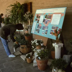 'The Global Garden: A Mediterranean Perspective', Garden Club exhibit, 1991