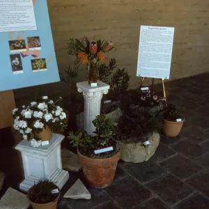 'The Global Garden: A Mediterranean Perspective', Garden Club exhibit, 1991