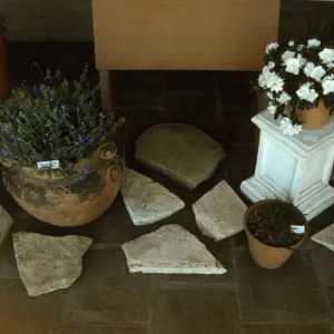 'The Global Garden: A Mediterranean Perspective', Garden Club exhibit, 1991