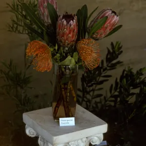 'The Global Garden: A Mediterranean Perspective', Garden Club exhibit, 1991