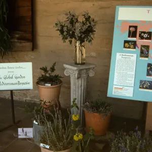 'The Global Garden: A Mediterranean Perspective', Garden Club exhibit, 1991