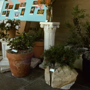 'The Global Garden: A Mediterranean Perspective', Garden Club exhibit, 1991