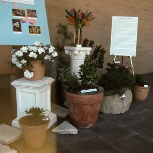 'The Global Garden: A Mediterranean Perspective', Garden Club exhibit, 1991