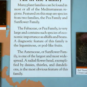 'The Global Garden: A Mediterranean Perspective', Garden Club exhibit, 1991